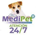 Medipet
